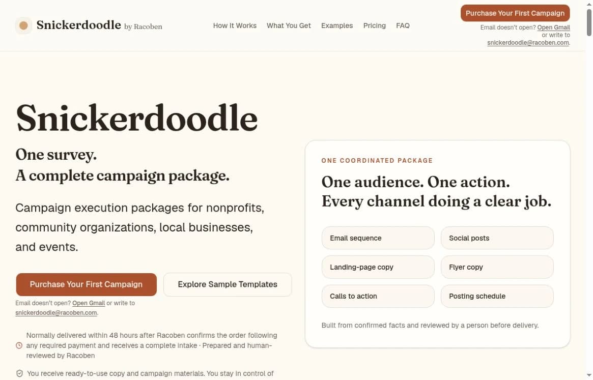 Snickerdoodle service page describing a human-reviewed package of email, social, landing-page, and flyer copy.